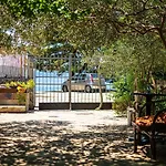 Kalma